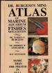 Foto 1 van Dr.Burgess's Mini-atlas of Marine Aquarium fishes mini-editi