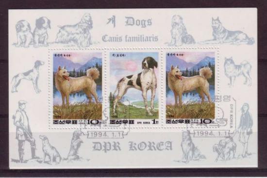 Themablok honden2 