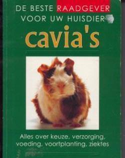 Cavia's, de beste raadgever voor uw huisdier