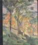 Foto 1 van Het bos en de mens, Artis Historia,