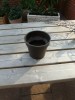 Foto 2 van Pot 70
