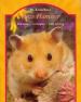 Foto 1 van Onze hamster door M. Kürschner