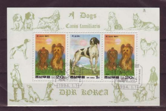 Themablok honden5 