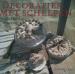 Foto 1 van Decoraties met schelpen, Anneke Vestering