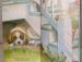 Foto 3 van Lieve dieren en hun manieren
