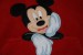 Foto 2 van Trui DISNEYLAND PARIS (68 of 6 maanden)