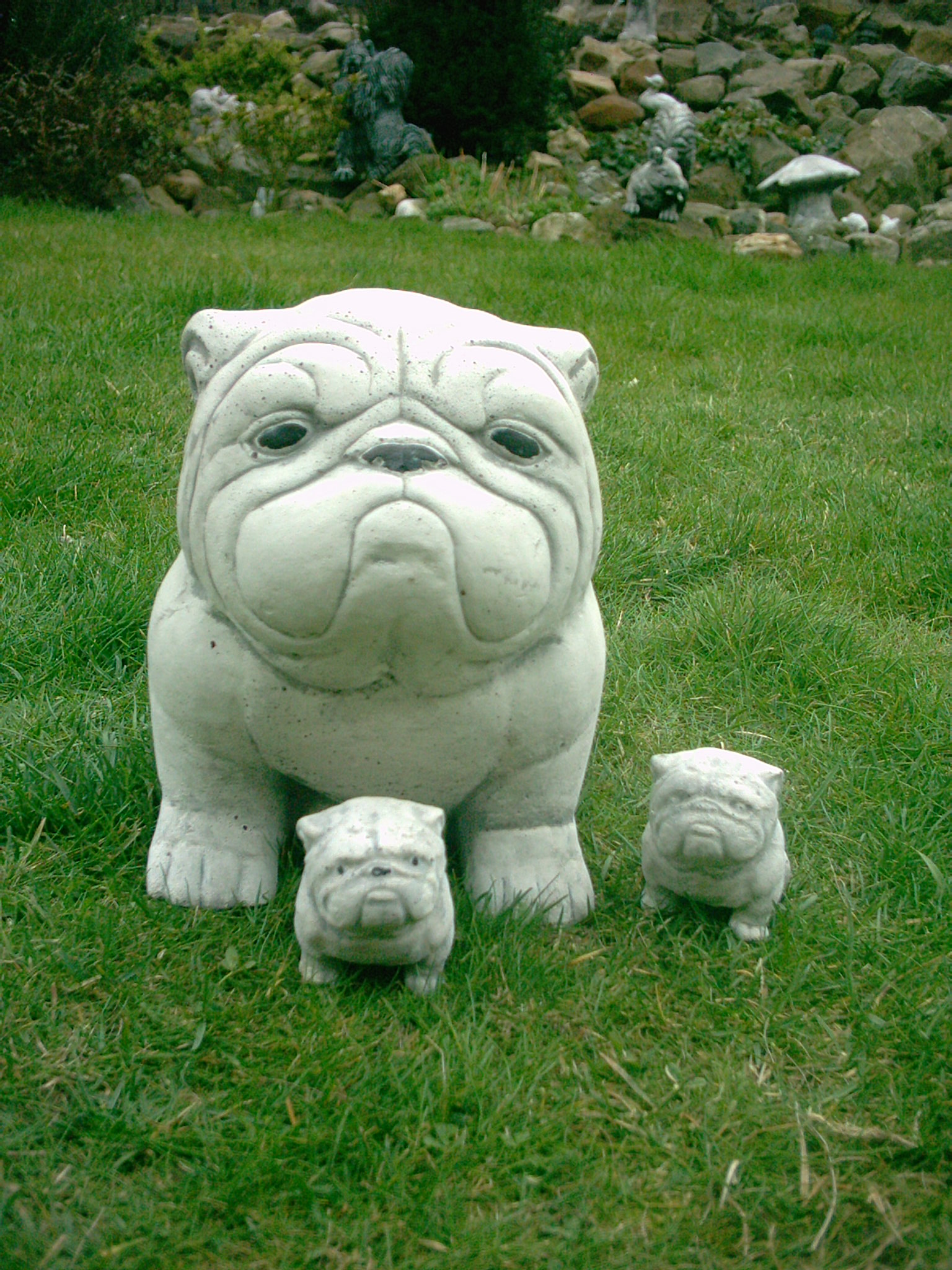 Betonnen Engelse buldog uit beton 