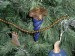 Foto 11 van 12 fotos kerstspullen
