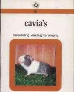 Cavia's, nr. 5