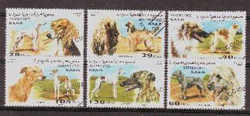 Thema honden1 