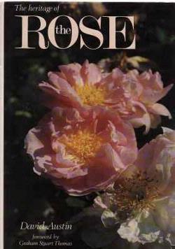 The heritage of the Rose, David Austin, Antique collectors'