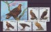 Foto 1 van Vogels Azerbeidjan2 