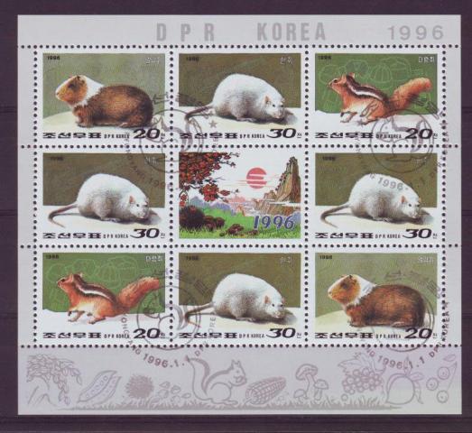 Thema dieren Korea  