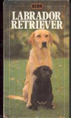 Labrador Retriever, Marjorie Satterthwaite