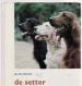 Foto 1 van De Setter, Jan Van Rheenen