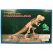 Foto 1 van 3D-Kit Model Dinosaurus Tyrannosaurus Rex LARGE