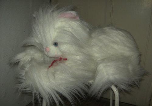 witte poes