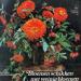 Foto 1 van Bloemen schikken met weinig bloemen, katinka hendrichs