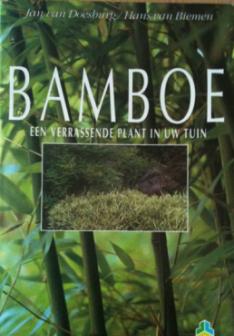 Bamboe, Jan Van Doesburg