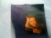 Foto 1 van STING Fragile single