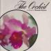 Foto 1 van The orchid
