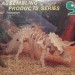 Foto 1 van 3D-Kit Model Dinosaurus Triceratops houten speelgoed