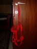 Foto 2 van 3 halsters te koop! NOG NIEUW, VOOR SPOTPRIJS!!