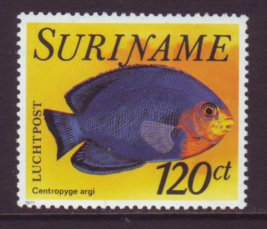 Suriname nr. LP 70 