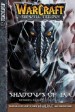 Foto 1 van Warcraft the Sunwell Trilogy 2: Shadows of Ice