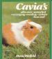 Foto 1 van Cavia's, Horst Bielfeld
