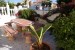 Foto 3 van  te huur Rojales Alicante(ts Torrevieja en Santa Pola