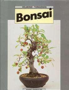 Bonsai, Anne Swinton,
