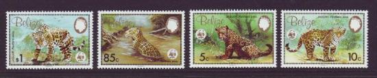 WWF dieren Belize 