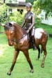 Foto 5 van bronzen paarden