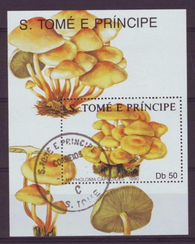 Thema paddestoelen 