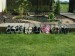 Foto 1 van EVM = (Ver)bouwen zonder zorgen