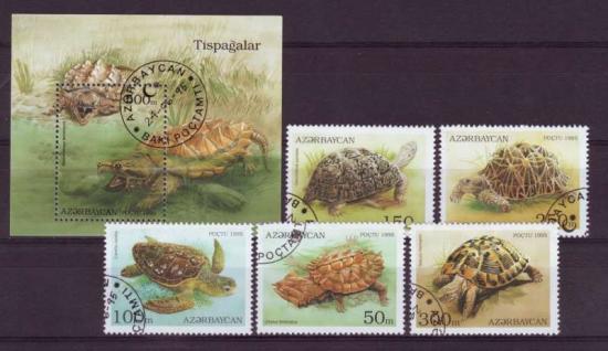 Thema dieren 17 Azerbeidjan 