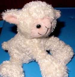 Knuffelschaapje met geluid