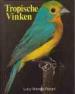 Foto 1 van Tropische vinken,