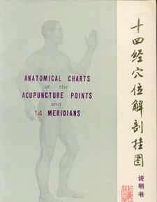 Anatomical charts of the acupuncture points
