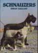 Foto 1 van Schnauzers, Johan Gallant