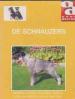 Foto 1 van De Schnauzers, over dieren