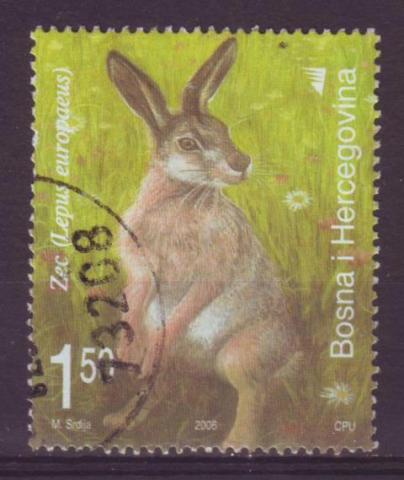 Bosnië Herzegovina jaar 2006 