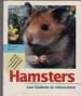 Foto 1 van Hamsters voor kinderen en volwassenen, Peter Beck