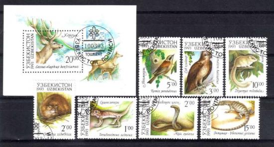 Thema dieren27 Uzbekistan 