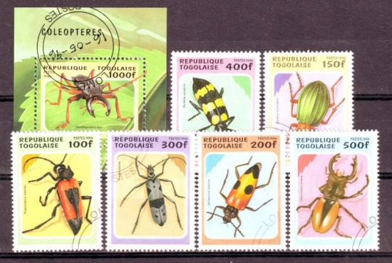 Thema dieren18 Togo 