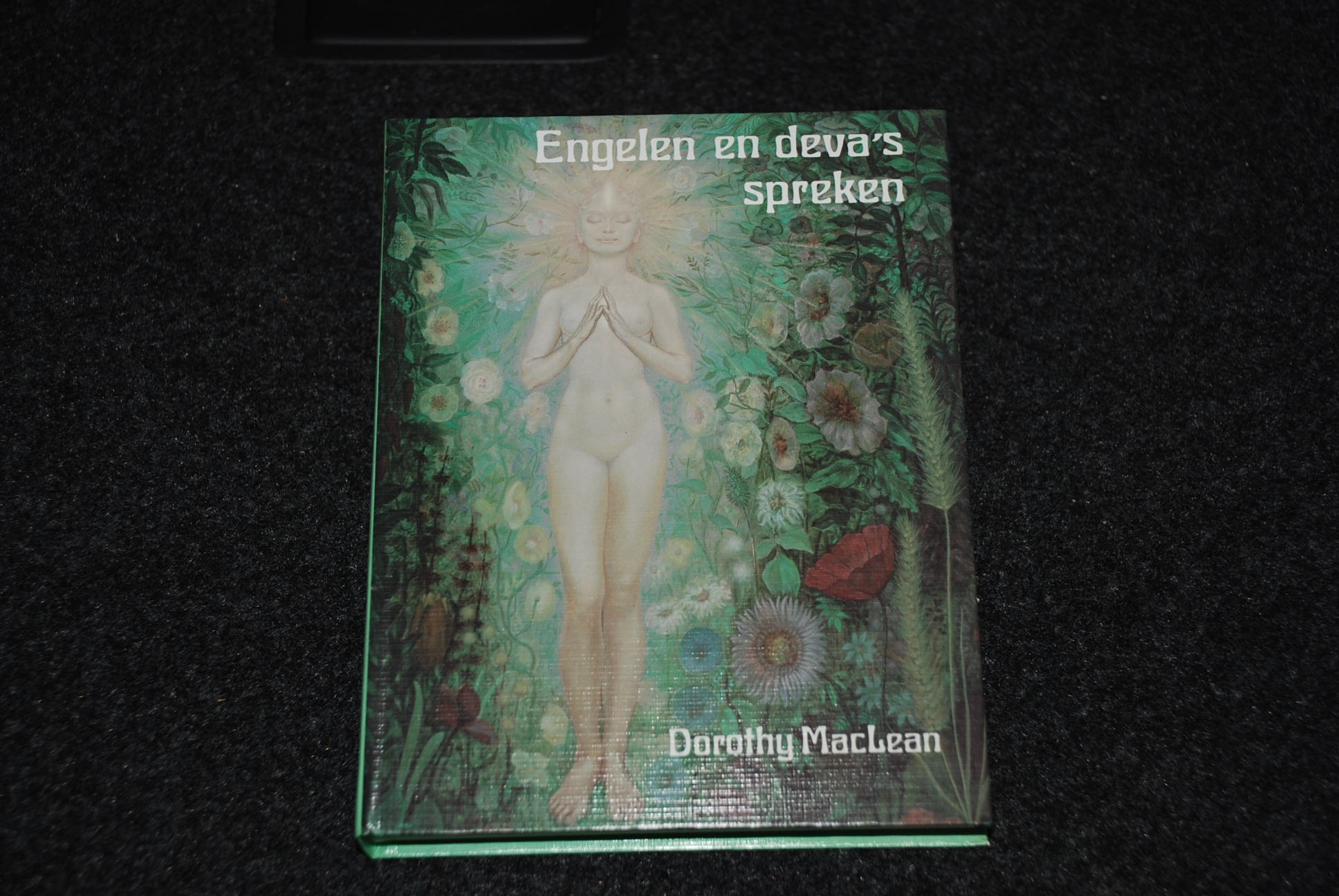 Engelen en deva's spreken-Dorothy MacLean GERESERVEERD