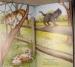 Foto 2 van Lieve dieren en hun manieren