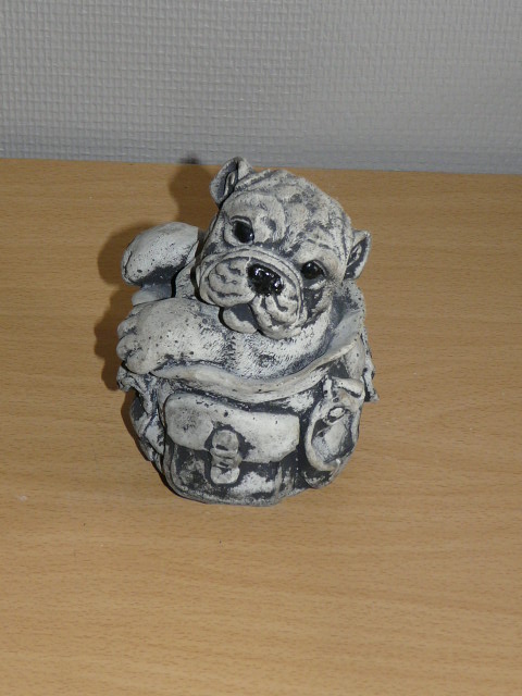 Hond in mandtje 9