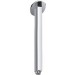 Foto 1 van ESV-99.350.600 Douchearm 240mm
